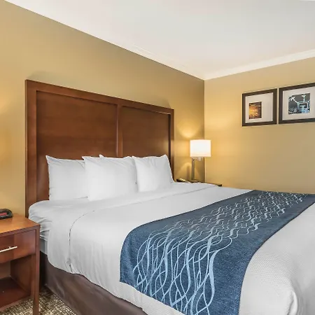 Comfort Inn Sunnyvale - Silicon Valley-3