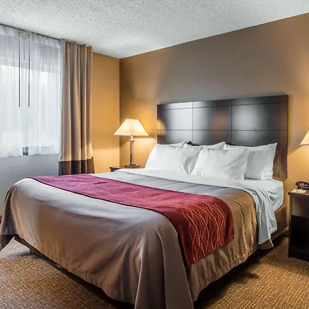 Comfort Inn Saugerties-3