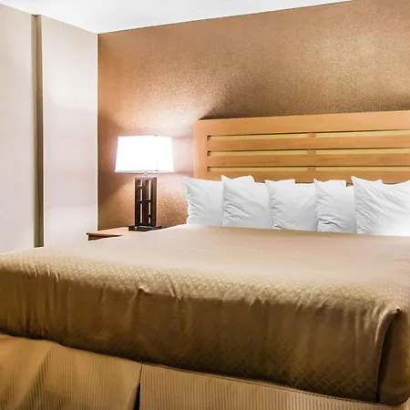 Quality Inn & Suites Warren - Detroit-2