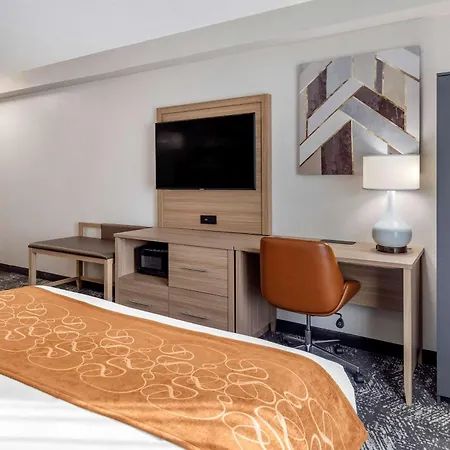 Comfort Suites Anderson-Clemson-2