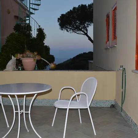 Hotel Polito-2
