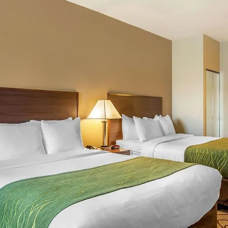 Comfort Inn & Suites Orange County John Wayne Airport-3