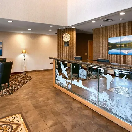 Best Western Dallas Inn & Suites-2