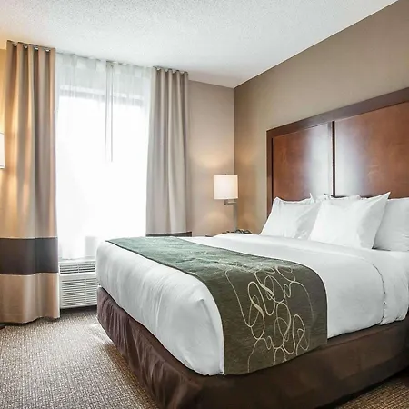 Comfort Suites West Warwick - Providence-2