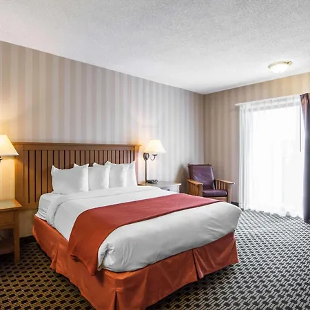 Quality Hotel-3