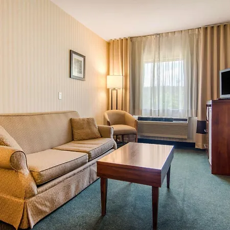 Comfort Inn & Suites Shawinigan-3