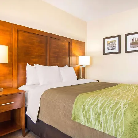 Comfort Inn & Suites Shawinigan-2