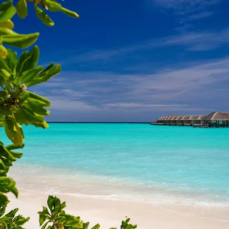 Baglioni Resort Maldives-3