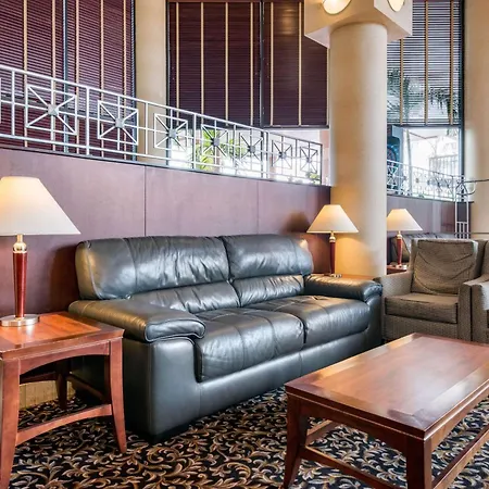Quality Inn & Suites Tarpon Springs South-3