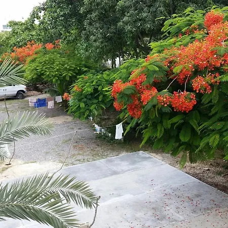 Mansion Giahn Bed & Breakfast-2