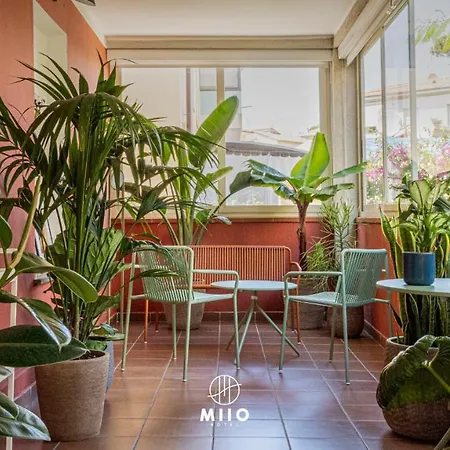 Miio Hotel-3