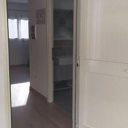 Tropical Suite-2
