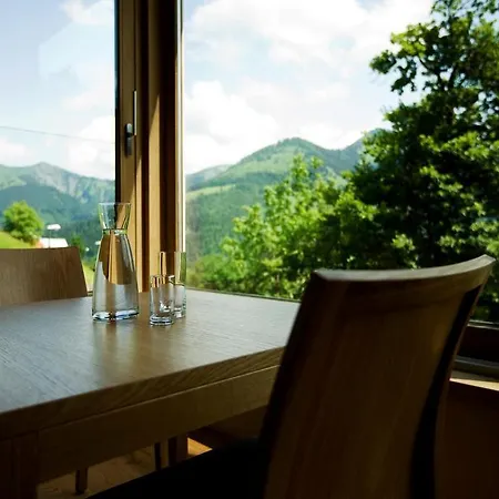 Hotel Alpenrose Ebnit-3