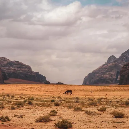Wadi Rum-2