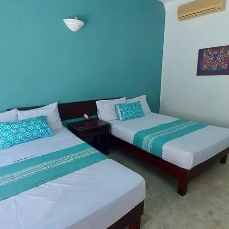 Delphinus Inn-3