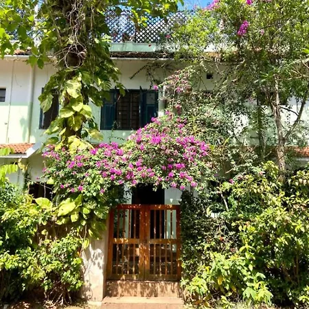 Villa Jacaranda-3