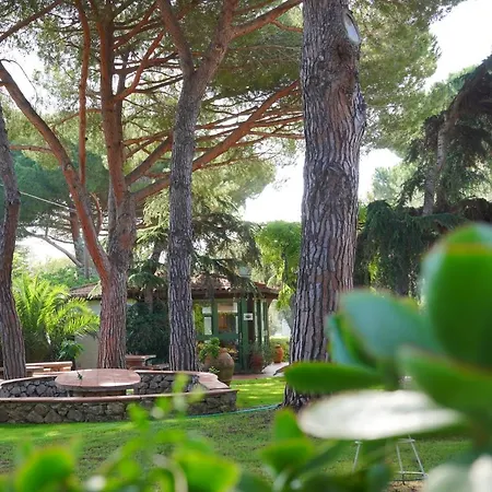 Hotel Marelba-2
