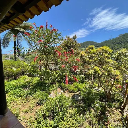 Casas De Campo Do Pomar B&B - Self Check-In-2