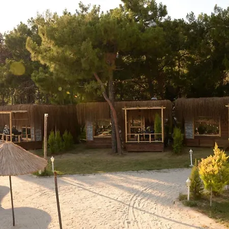 Green Pine Bungalows & Beach Luxury Concept-3