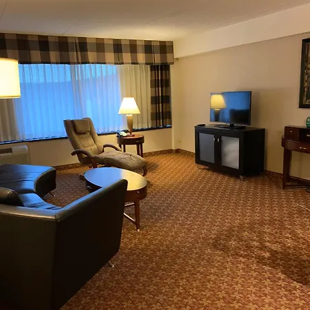 Holiday Inn Johnstown-Downtown By Ihg-2