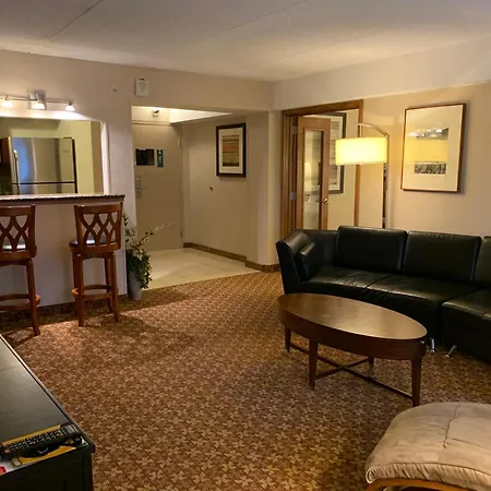 Holiday Inn Johnstown-Downtown By Ihg-3