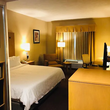 Holiday Inn Express Saltillo Zona Aeropuerto, an IHG Hotel-2