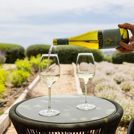 La Foresteria Planeta Wine Resort&Beach Club-3
