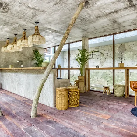 Mia Tulum Beachfront Resort - Ocean View Suites And Beach Club-2