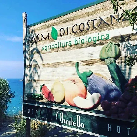 Albergo Olmitello - cucina vegetariana bio e tradizionale-3