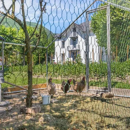 le clos grillet-2