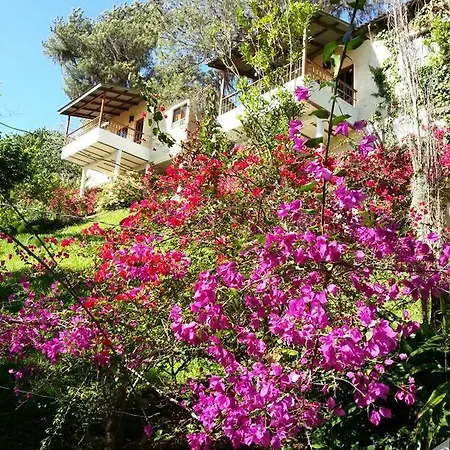Altocerro Villas, Hotel y Camping-2