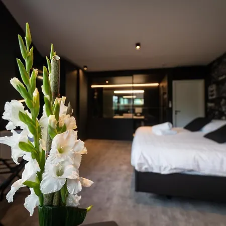 Les Thermes De Spa By La Cour De La Reine Hotel, Suites & Acces Gratuit Au Centre Thermal-2