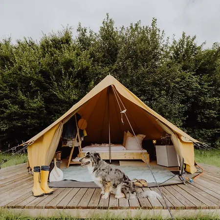 raus und gut Glamping am Gräbendorfer See-2