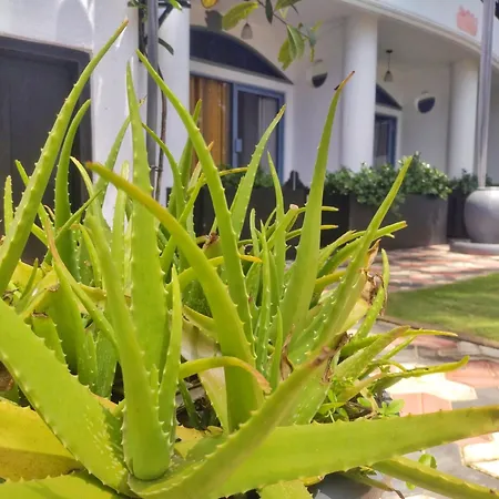 Dalawella Beach Resort-2