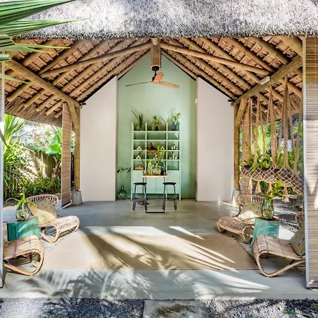 Tropical Attitude (Adults Only)-2