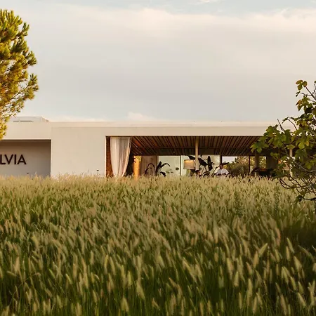 Ca Na Xica - Hotel & Spa (Adults Only)-2
