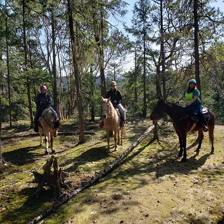 Paradise Acres Ranch-2