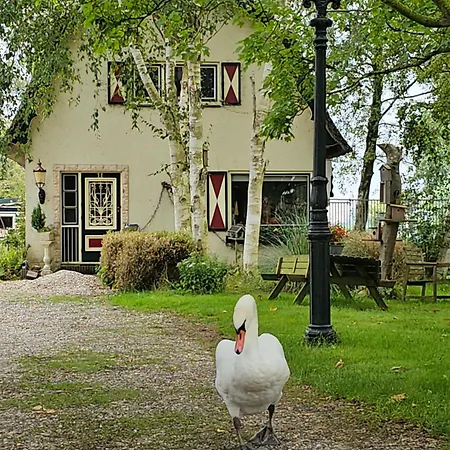 B&B Zusenzomer-3