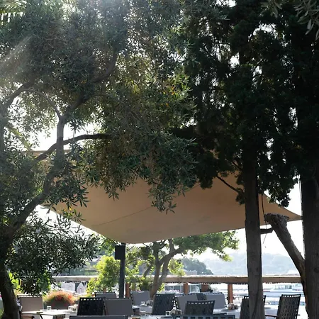 No81 Hotel-3