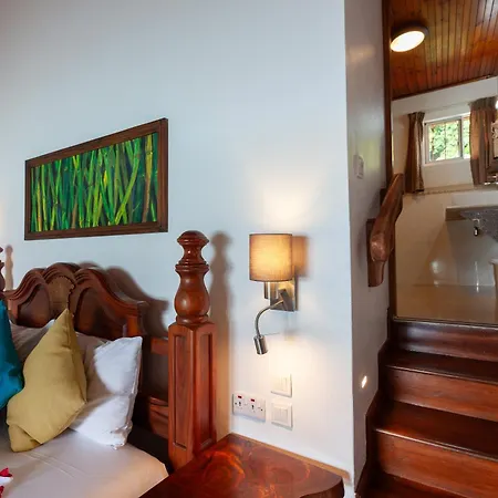 Colibri Hotel-3