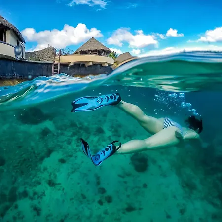 Koro Sun Resort & Rainforest Spa-3