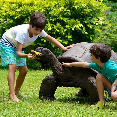 Les Villas D'Or-3