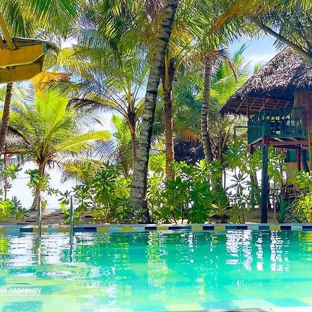The Alpha Monkey Hotel & Tree House-3