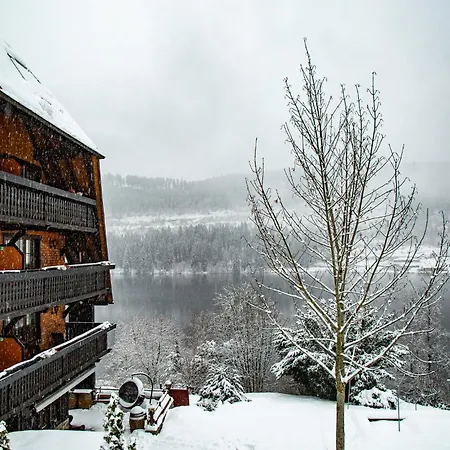Alemannenhof - Boutique Hotel Am Titisee-3