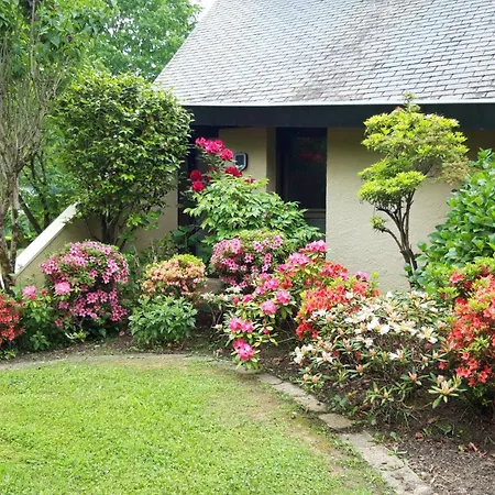 Jardin des Chats-2