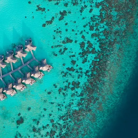 Drift Thelu Veliga Retreat (Adults Only)-3