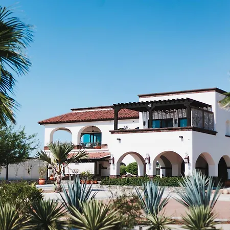 Orchid House Baja-3