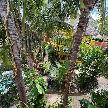One Love Hostal Puerto Escondido-3