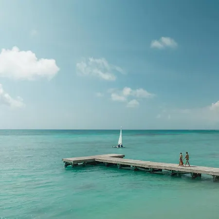 Hyatt Zilara Cap Cana - Adults Only-3