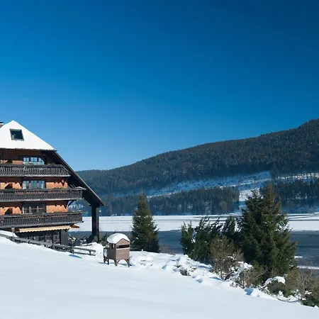 Alemannenhof - Boutique Hotel Am Titisee-3